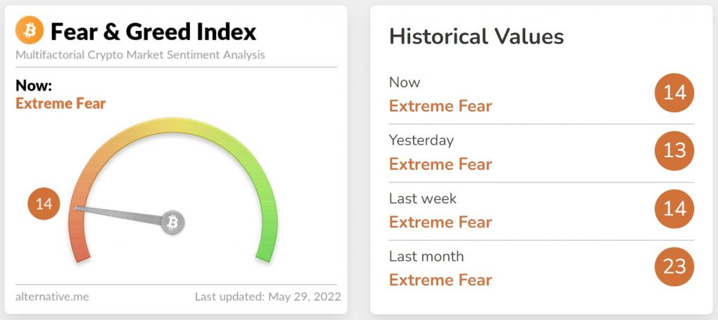 Fear & Greed Index Crypto 29. Mai 2022